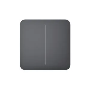 Ajax SoloButton (2-gang) [55] graphite